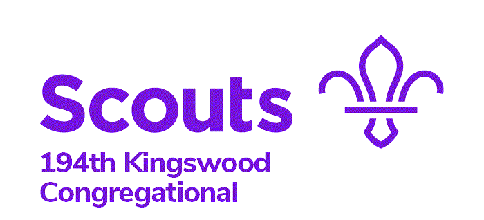 Scouts Logo